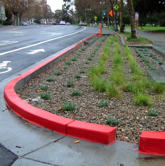 Bordered by a red-painted, curving curb, a long stretch of landscaped vegetation consisting of planted rows of low grasses buffers a wide city street from the sidewalk.