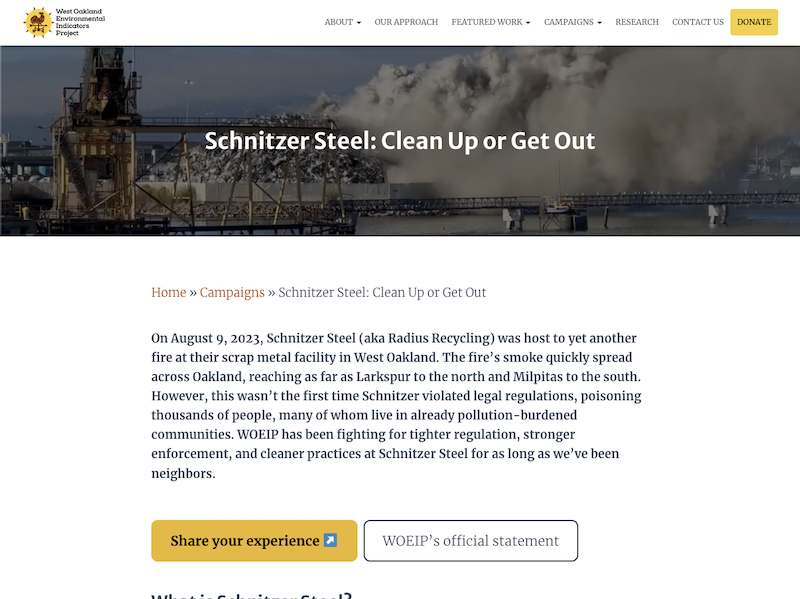 Screenshot of campaign page